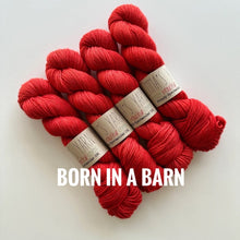 Load image into Gallery viewer, Simply Spectacular DK