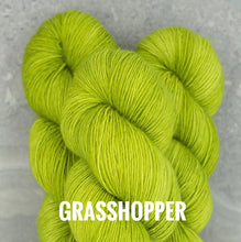 Load image into Gallery viewer, Madelinetosh Tosh Merino Light