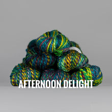 Load image into Gallery viewer, Spincycle Yarns Plump