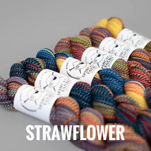 Load image into Gallery viewer, Spincycle Yarns Dyed in the Wool