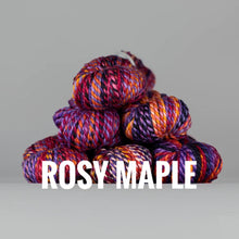 Load image into Gallery viewer, Spincycle Yarns Plump