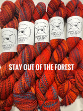 Load image into Gallery viewer, Spincycle Yarns Dyed in the Wool