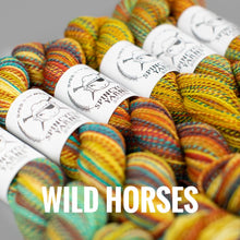 Load image into Gallery viewer, Spincycle Yarns Dyed in the Wool