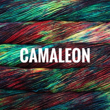 Load image into Gallery viewer, Malabrigo Rios