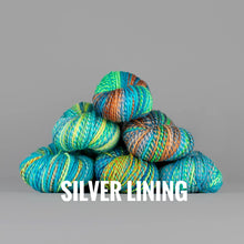 Load image into Gallery viewer, Spincycle Yarns Dyed in the Wool