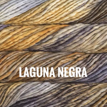 Load image into Gallery viewer, Malabrigo Rasta