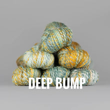 Load image into Gallery viewer, Spincycle Yarns Plump