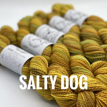 Load image into Gallery viewer, Spincycle Yarns Dyed in the Wool