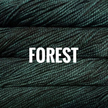Load image into Gallery viewer, Malabrigo Vientos