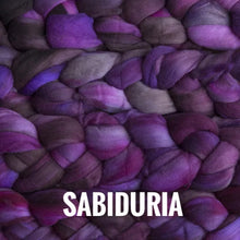 Load image into Gallery viewer, Malabrigo Nube