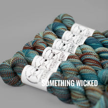 Load image into Gallery viewer, Spincycle Yarns Dyed in the Wool