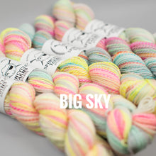 Load image into Gallery viewer, Spincycle Yarns Dyed in the Wool