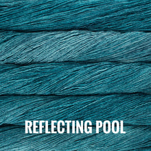Load image into Gallery viewer, Malabrigo Mechita