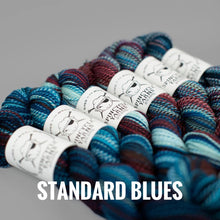 Load image into Gallery viewer, Spincycle Yarns Dyed in the Wool