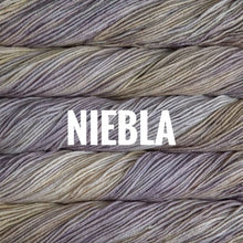 Load image into Gallery viewer, Malabrigo Rios