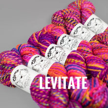 Load image into Gallery viewer, Spincycle Yarns Plump