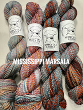 Load image into Gallery viewer, Spincycle Yarns Dyed in the Wool