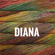 Load image into Gallery viewer, Malabrigo Rios