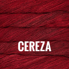 Load image into Gallery viewer, Malabrigo Chunky