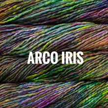 Load image into Gallery viewer, Malabrigo Rasta