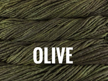 Load image into Gallery viewer, Malabrigo Rasta
