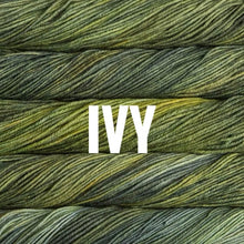 Load image into Gallery viewer, Malabrigo Rios