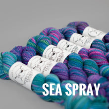 Load image into Gallery viewer, Spincycle Yarns Dyed in the Wool