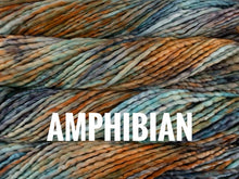 Load image into Gallery viewer, Malabrigo Rasta