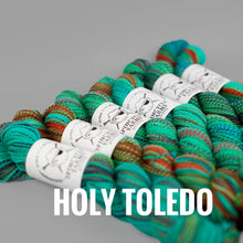Load image into Gallery viewer, Spincycle Yarns Dyed in the Wool