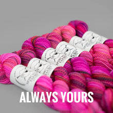 Load image into Gallery viewer, Spincycle Yarns Dyed in the Wool
