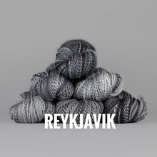 Load image into Gallery viewer, Spincycle Yarns Dyed in the Wool