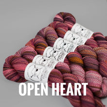 Load image into Gallery viewer, Spincycle Yarns Dyed in the Wool