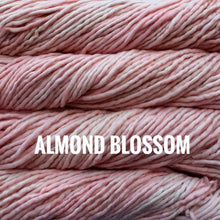 Load image into Gallery viewer, Malabrigo Rasta