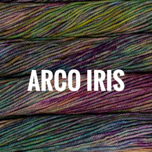 Load image into Gallery viewer, Malabrigo Chunky