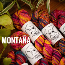 Load image into Gallery viewer, Spincycle Yarns Dyed in the Wool