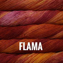 Load image into Gallery viewer, Malabrigo Yarn Arroyo