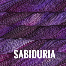 Load image into Gallery viewer, Malabrigo Mechita