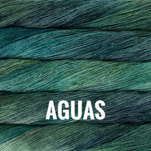 Load image into Gallery viewer, Malabrigo Yarn Arroyo