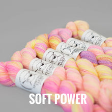 Load image into Gallery viewer, Spincycle Yarns Dyed in the Wool