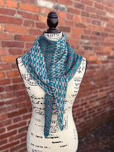 Load image into Gallery viewer, Drop-Ship Reaction Shawl Kit