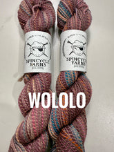 Load image into Gallery viewer, Spincycle Yarns Dyed in the Wool
