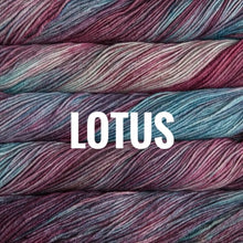 Load image into Gallery viewer, Malabrigo Rios