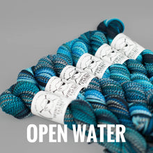 Load image into Gallery viewer, Spincycle Yarns Dyed in the Wool