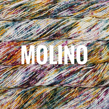 Load image into Gallery viewer, Malabrigo Seis Cabos