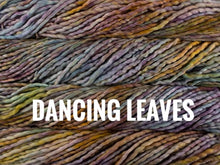 Load image into Gallery viewer, Malabrigo Rasta