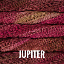 Load image into Gallery viewer, Malabrigo Mechita