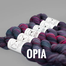Load image into Gallery viewer, Spincycle Yarns Dyed in the Wool