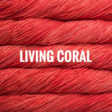 Load image into Gallery viewer, Malabrigo Rios
