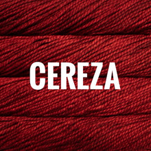 Load image into Gallery viewer, Malabrigo Vientos