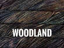 Load image into Gallery viewer, Malabrigo Rasta